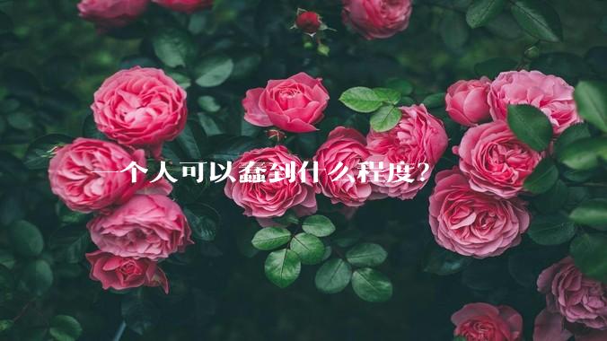 一个人可以蠢到什么程度？