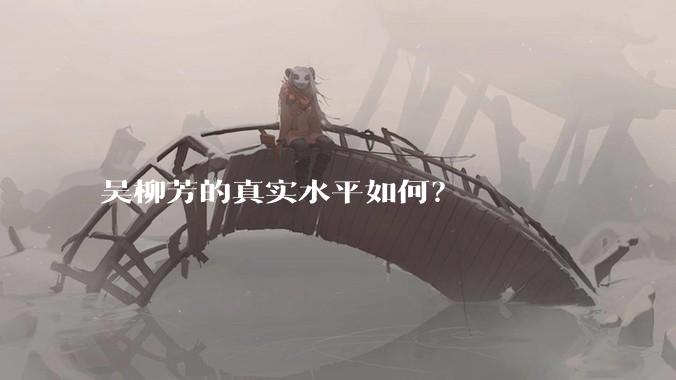 吴柳芳的真实水平如何？