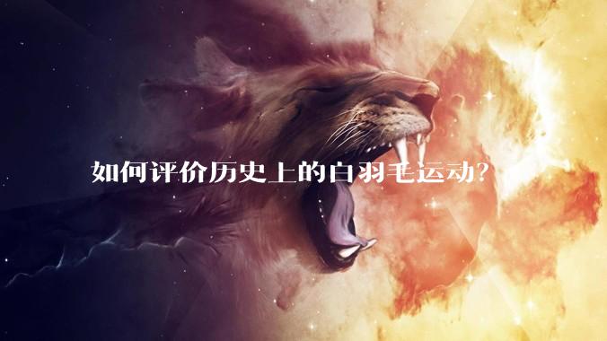 如何评价历史上的白羽毛运动？