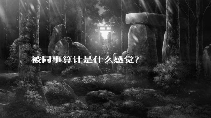 被同事算计是什么感觉？