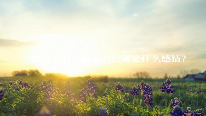 北理工的常旭强对宫琳是什么感情？