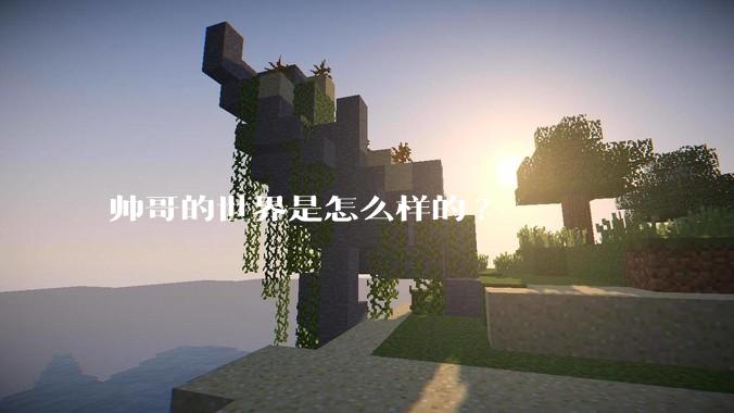 帅哥的世界是怎么样的?