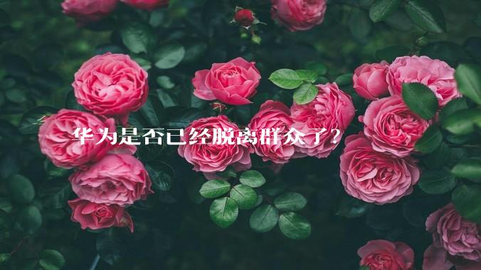 华为是否已经脱离群众了？