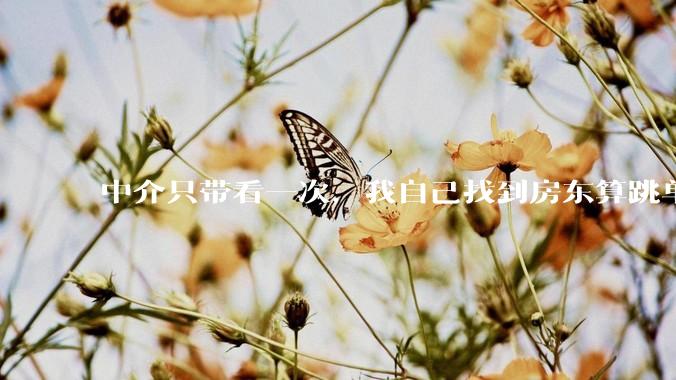 中介只带看一次，我自己找到房东算跳单吗？